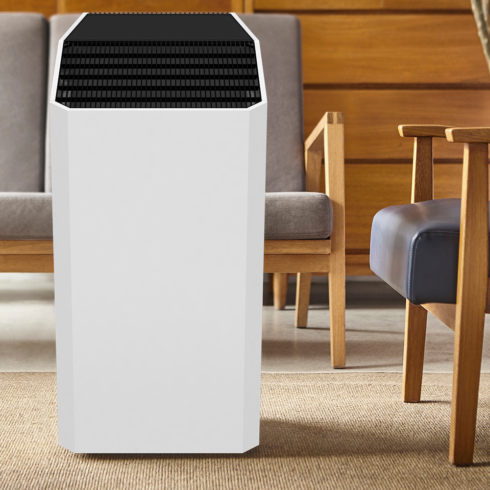 Odstráňte najlepšie formaldehyd, vychutnajte si čerstvý vzduch väčšinu BKJ-90C